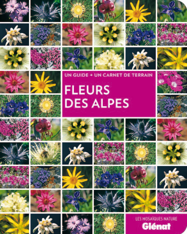 Guide des fleurs des Alpes