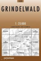 1229 Grindelwald (1/25000)